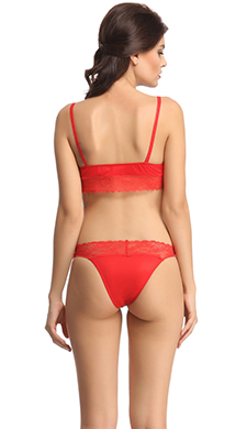 Lace & Polyamide Bra And Panty Set In Red